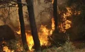 Çanakkale Valiliği’nden orman yangını uyarısı